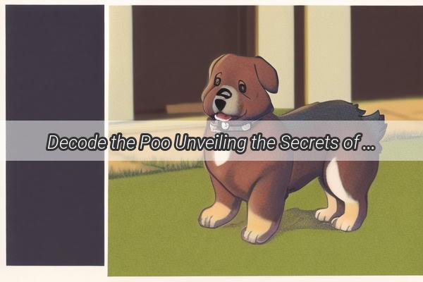 Decode the Poo Unveiling the Secrets of Your Dogs Poop Health